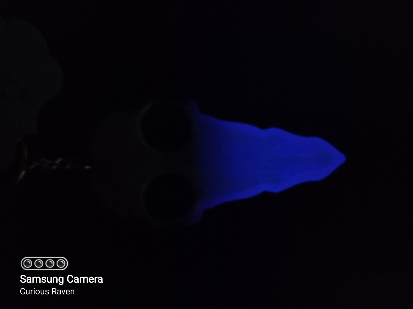 Hunter Glow in Dark Resin Raven Skull Keychain