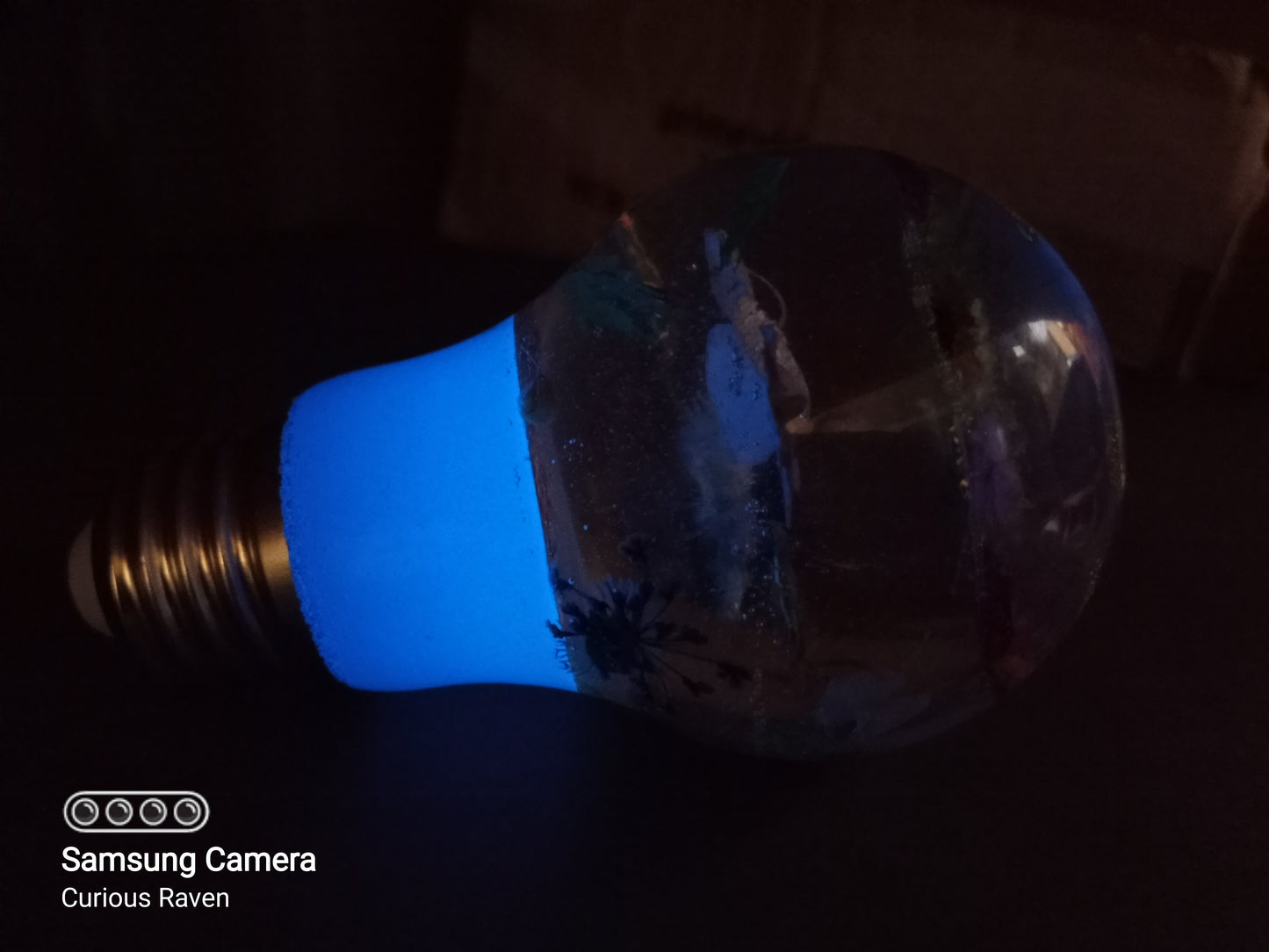 Springs Beauty Resin Light Bulb