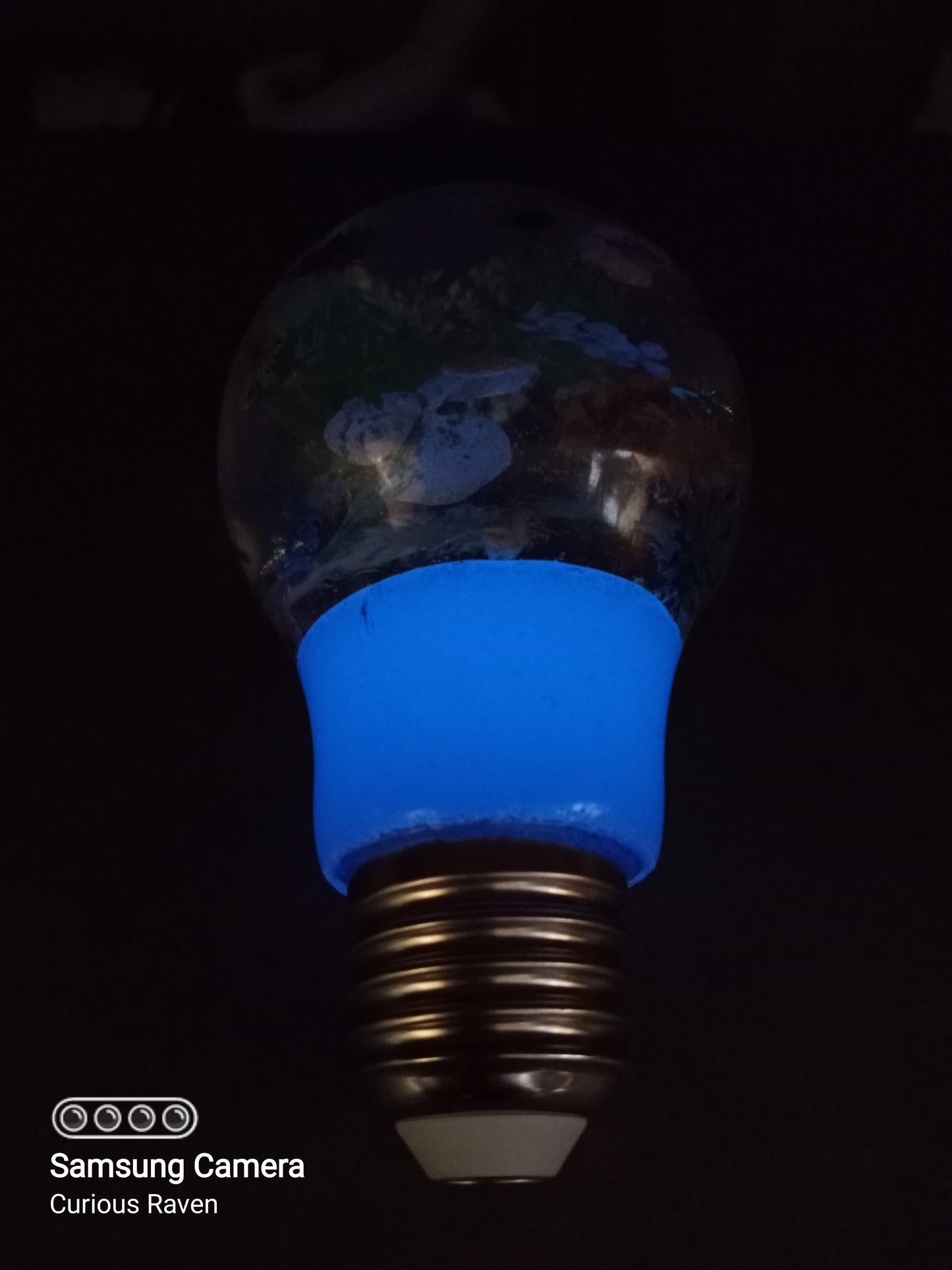 Springs Beauty Resin Light Bulb