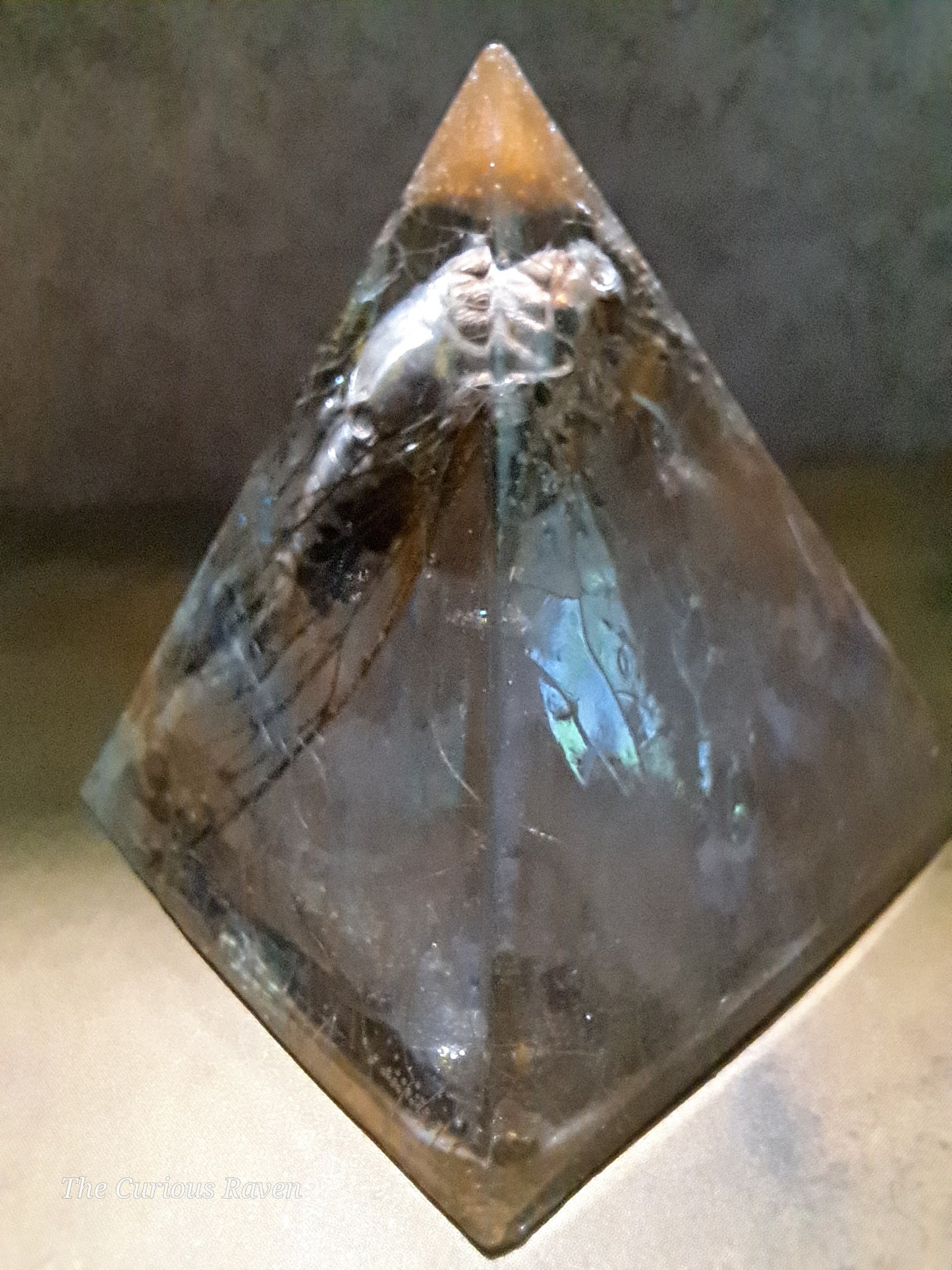 Cicada in Resin Pyramid