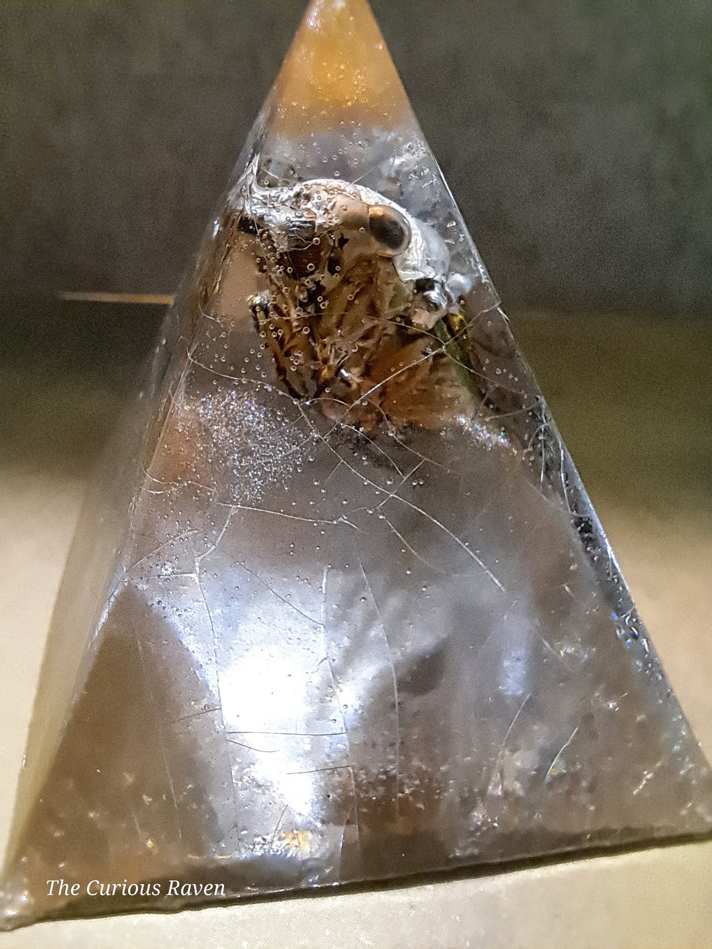 Cicada in Resin Pyramid