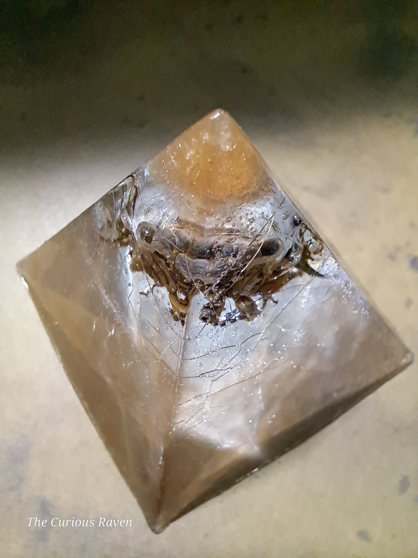 Cicada in Resin Pyramid