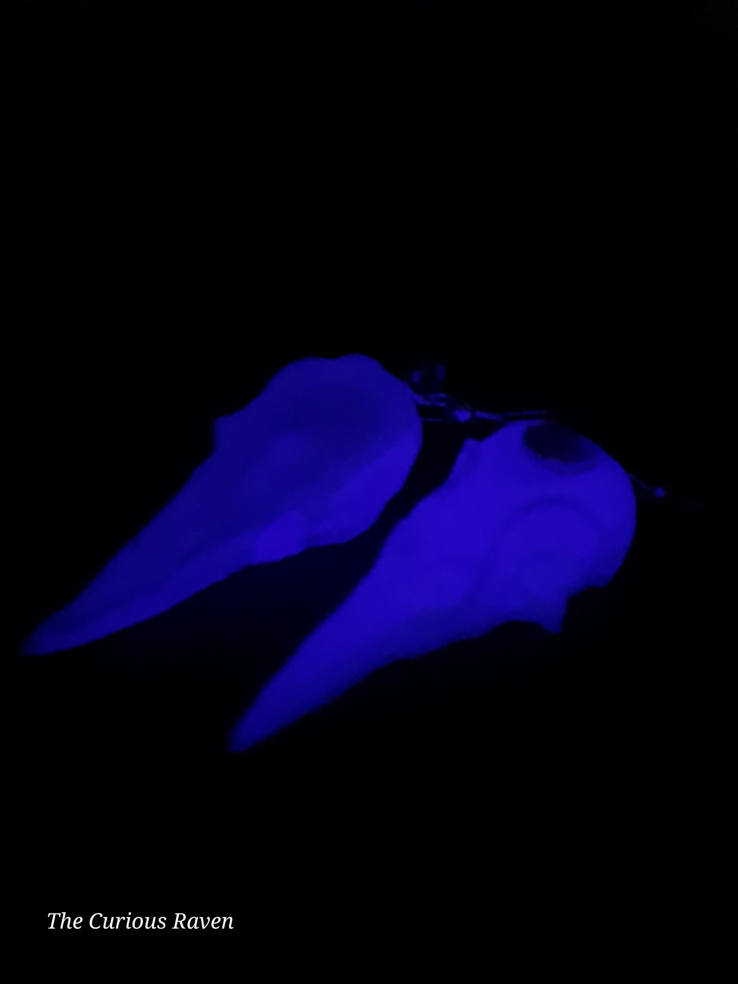 Lavender Glow in the Dark Raven Skull Earrings