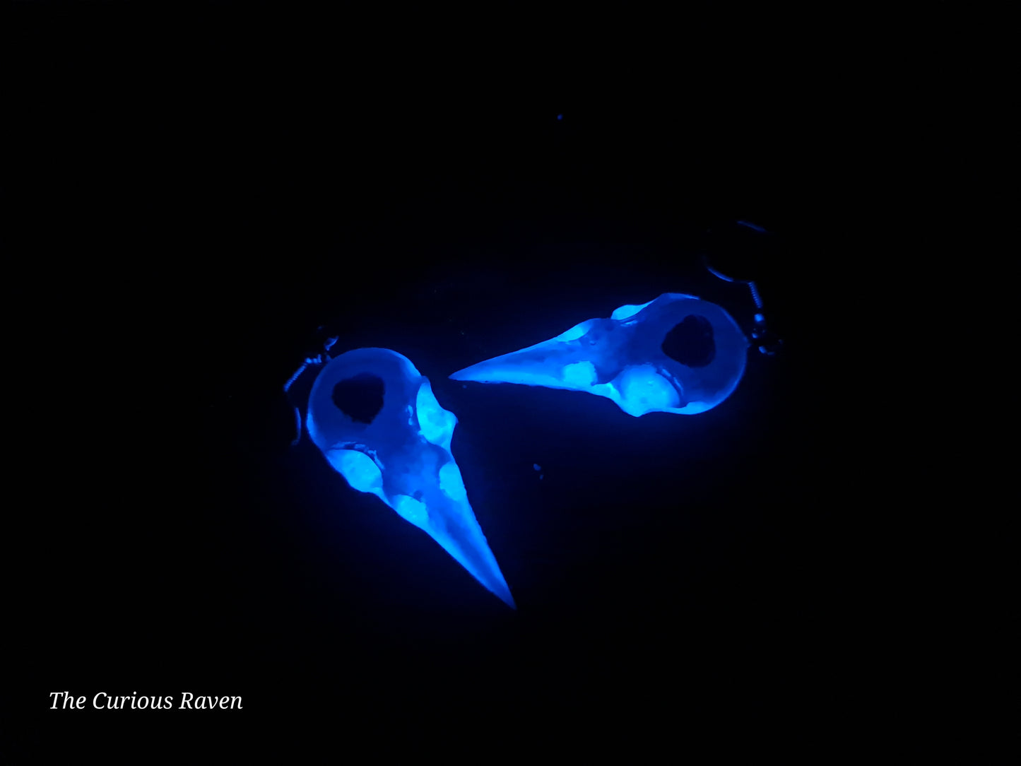 Pearl and Blue Glow in the Dark Resin Raven Skull Earrings