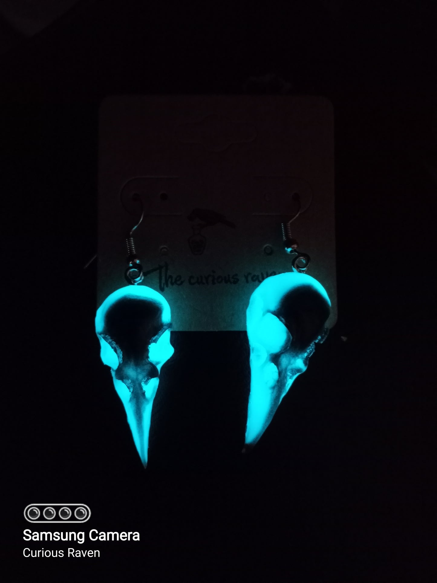 Raven skull earrings