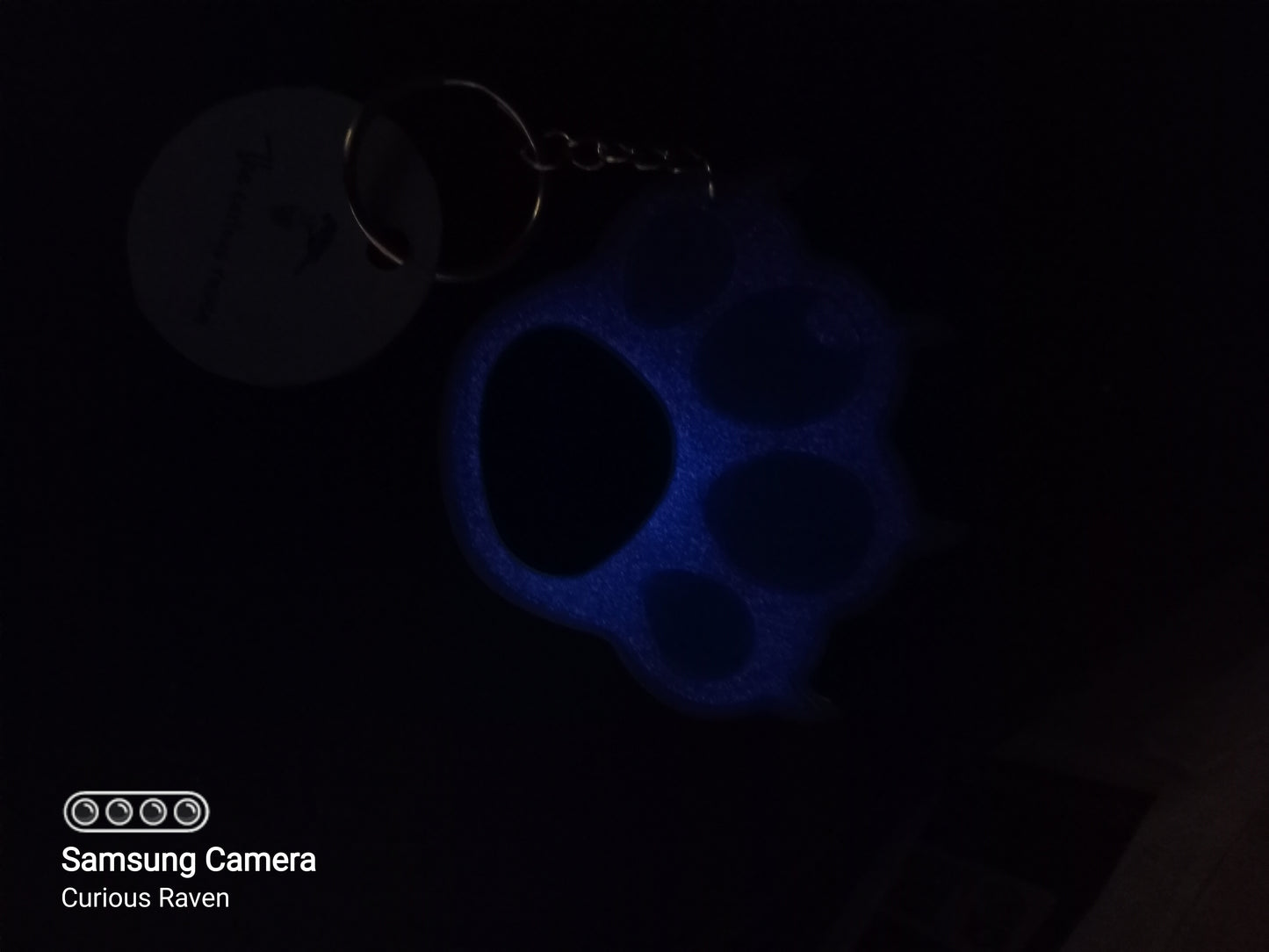 Purple Glow in Dark Paw Resin Keychain