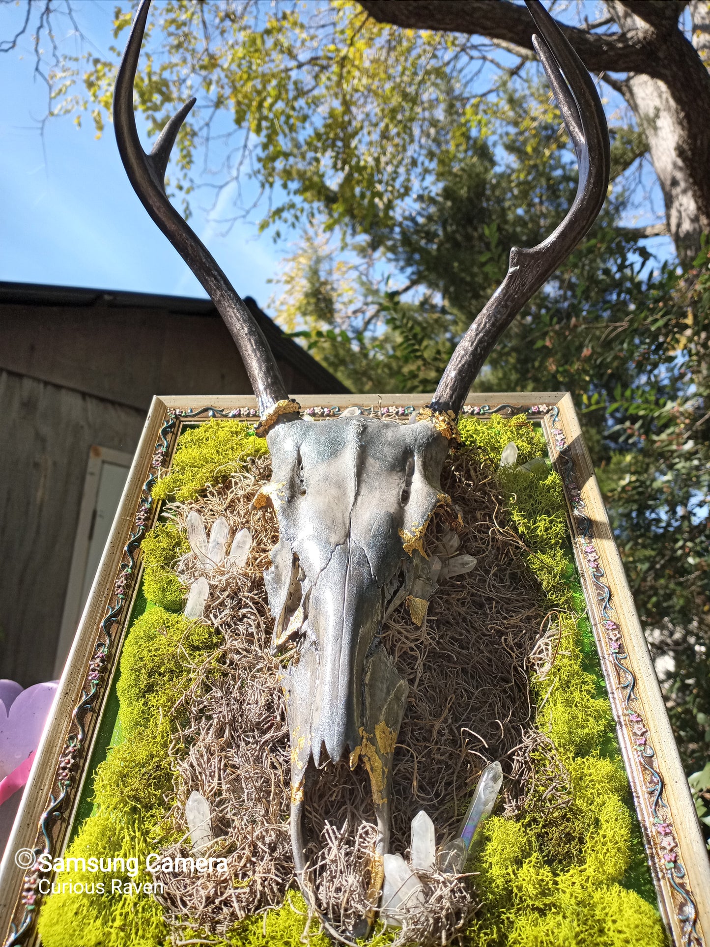 Mystic Guardain, Hand painted, Embellished Real Deer Skull