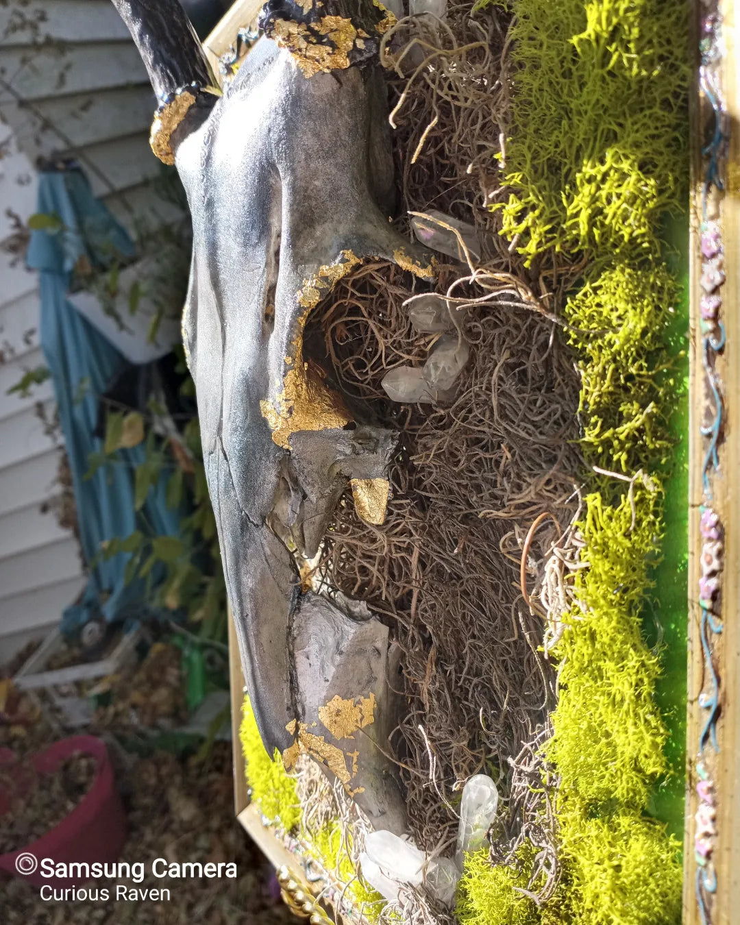 Mystic Guardain, Hand painted, Embellished Real Deer Skull